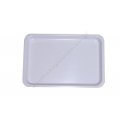 Δίσκος πλαστικός 30x20x2cm χρώματος άσπρο